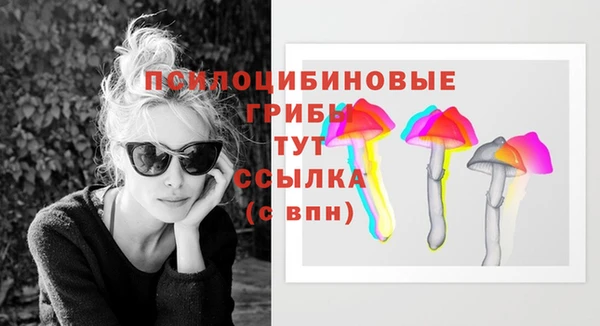 apvp Алексин