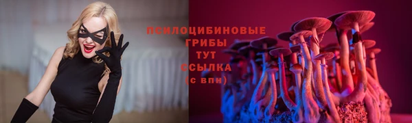 jwh Алзамай