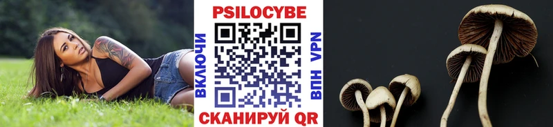 Галлюциногенные грибы ЛСД  Нижний Ломов 